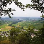 Weinhotel Platz 酒店 特里尔