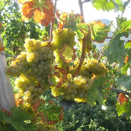 Weinhotel Platz Hotel