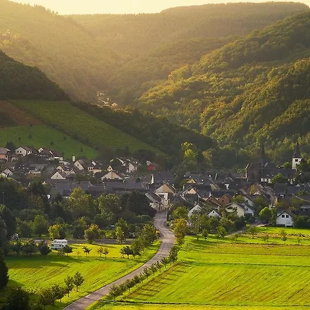 Hotel Weinhotel Platz Tréveris