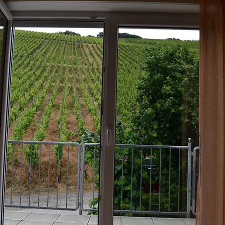 Weinhotel Platz 3* Τρίερ