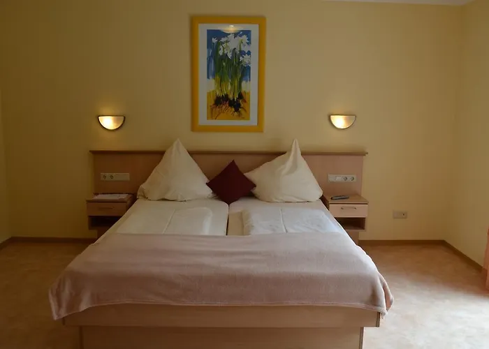 Weinhotel Platz מלון טרייר