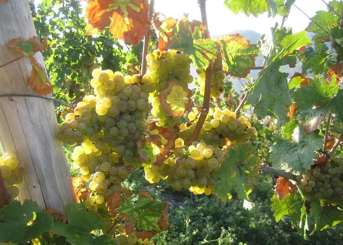 Weinhotel Platz מלון