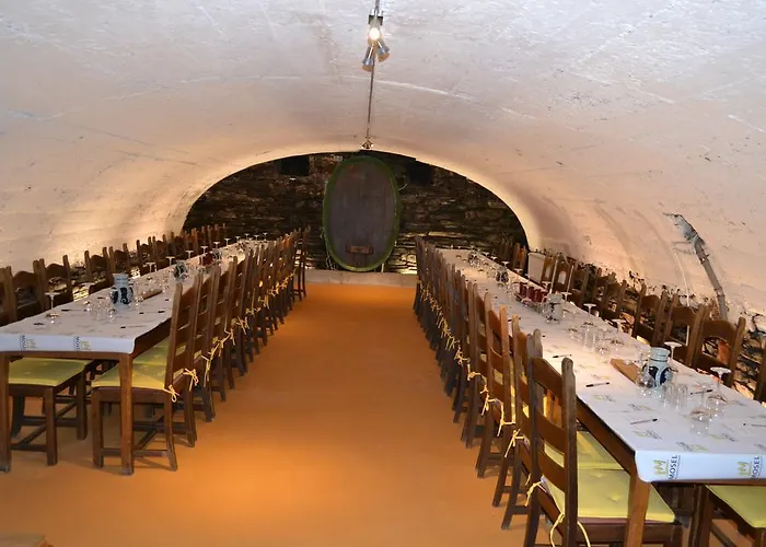 מלון Weinhotel Platz טרייר