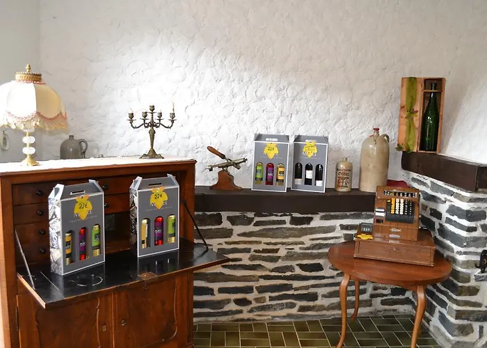 Weinhotel Platz מלון