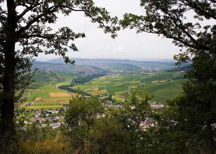 Weinhotel Platz מלון טרייר
