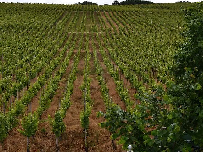 Weinhotel Platz מלון 3*