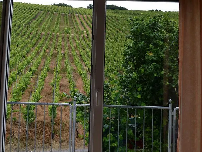 Weinhotel Platz 3* טרייר